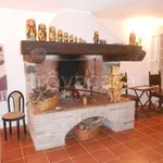 Rent 8 bedroom house of 250 m² in Orbetello