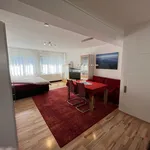 Miete 3 Schlafzimmer wohnung von 60 m² in Friedrichshafen