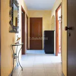 3-room flat via Pablo Picasso 7, Regina Margherita, Collegno