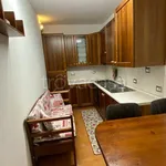 Rent 1 bedroom apartment of 30 m² in Pavia