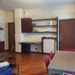 Rent 2 bedroom apartment of 50 m² in Lodi