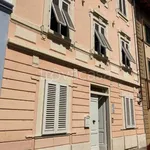 Rent 2 bedroom apartment of 60 m² in Firenze