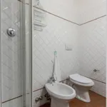 Rent 1 bedroom apartment in Florence