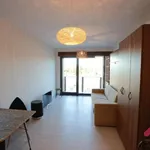 Rent 1 bedroom apartment in Capital City of Prague