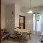 Rent 3 bedroom apartment of 82 m² in Milano