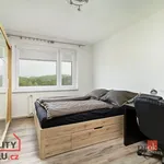 Rent 2 bedroom apartment of 60 m² in Štěnovický Borek