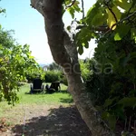 Rent 2 bedroom house of 45 m² in Stintino