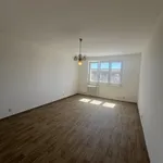 Pronajměte si 1 ložnic/e byt o rozloze 42 m² v Pilsen