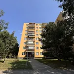 Rent 4 bedroom apartment in Brno