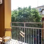 Rent 1 bedroom apartment in Bologna