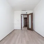 Rent 3 bedroom apartment of 60 m² in Praha