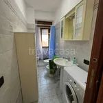 Rent 2 bedroom apartment of 55 m² in Nettuno