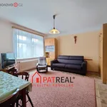 Rent 1 bedroom apartment in Brno