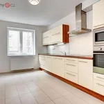 Rent 4 bedroom apartment of 120 m² in Brno