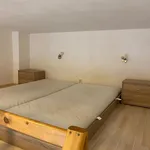 Rent 1 bedroom apartment in Brno