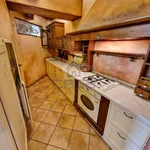 Rent 3 bedroom apartment of 110 m² in Cremona