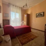 Rent 3 bedroom apartment of 80 m² in Novara