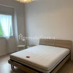 Rent 3 bedroom apartment of 60 m² in Verona