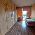 Rent 1 bedroom house of 190 m² in Vřesina