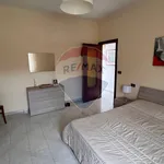 Rent 4 bedroom apartment of 77 m² in Pozzuoli