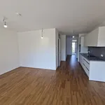 Rent 2 bedroom apartment of 49 m² in Graz