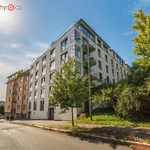 Rent 3 bedroom apartment of 698 m² in Trhový Štěpánov