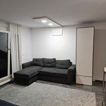 Rent 1 bedroom apartment of 30 m² in Ludwigsburg