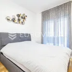 Rent 3 bedroom apartment of 75 m² in Zagreb