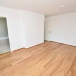 Rent 4 bedroom apartment of 100 m² in Chemnitz