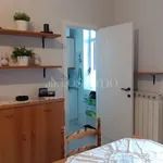 Rent 1 bedroom apartment of 30 m² in Montesilvano