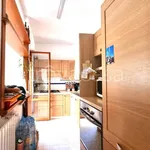 Rent 3 bedroom apartment of 80 m² in Viterbo