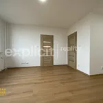 Rent 1 bedroom apartment of 33 m² in Zlín