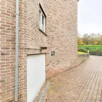 Rent 1 bedroom apartment in Leuven