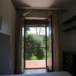 Rent 3 bedroom apartment of 94 m² in Novara