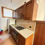 Rent 2 bedroom apartment of 55 m² in Verbania