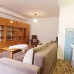 Rent 1 bedroom apartment of 30 m² in Mohelnice