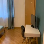 Rent 1 bedroom apartment in rome