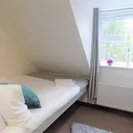 Rent 1 bedroom apartment in Coventry