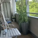 Rent 1 bedroom apartment in berlin