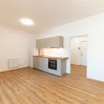 Pronajměte si 2 ložnic/e byt o rozloze 47 m² v vizovice