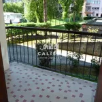 Rent 2 bedroom apartment of 45 m² in Toulouse