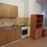 Pronajměte si 1 ložnic/e byt o rozloze 52 m² v Vavřinec