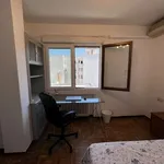 Rent a room in madrid