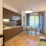 Rent 3 bedroom apartment of 74 m² in Riccione