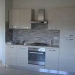 Rent 2 bedroom apartment of 40 m² in Roma