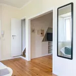 Rent 1 bedroom apartment in lisbon