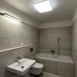 Rent 3 bedroom apartment in České Budějovice