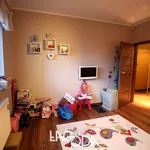 Rent 3 bedroom apartment of 78 m² in Gorzów Wielkopolski