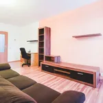 Rent 1 bedroom apartment in Brno