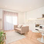 Rent 1 bedroom apartment in Porto